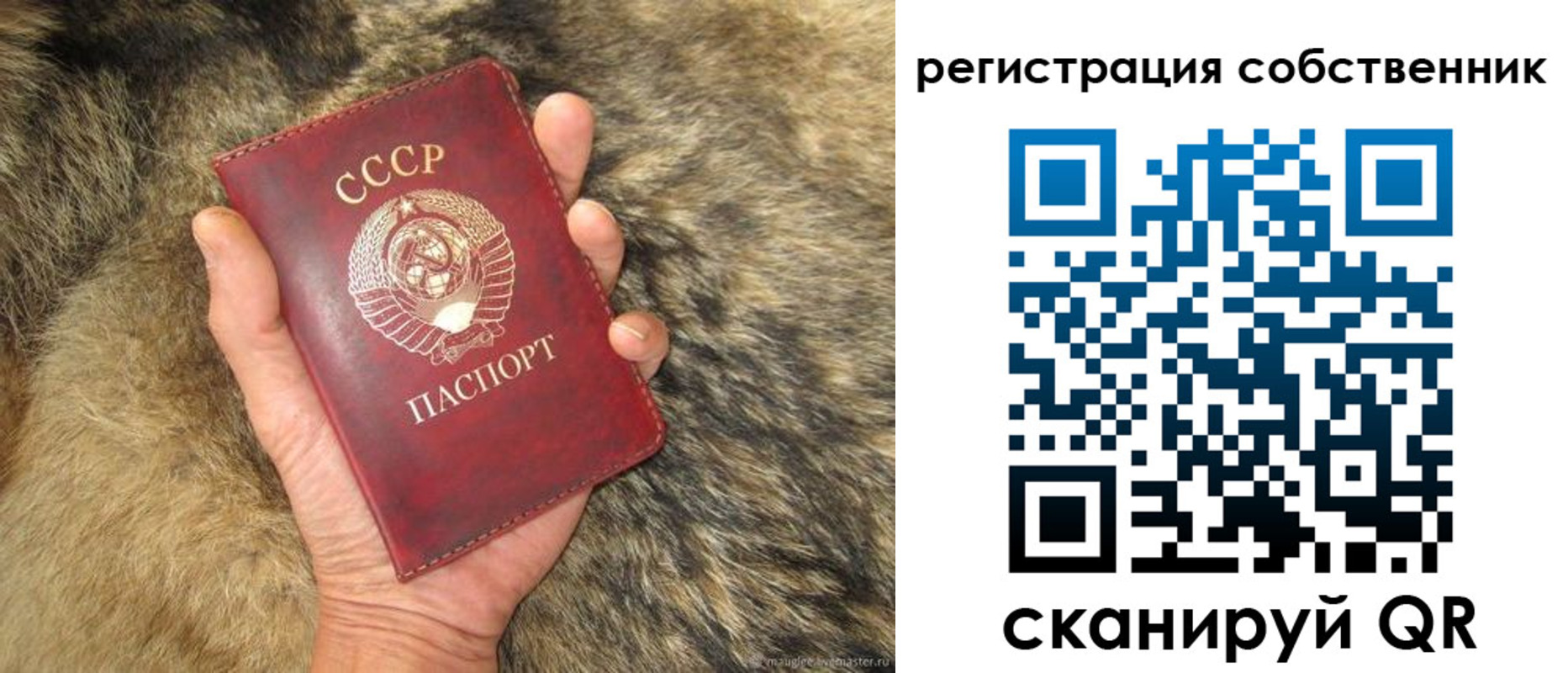 прописка 2025 в Усть-Лабинске